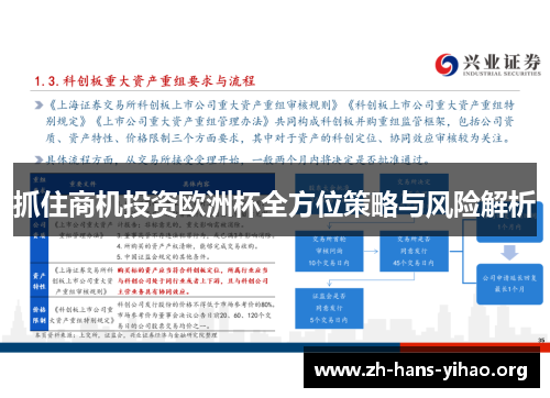 抓住商机投资欧洲杯全方位策略与风险解析